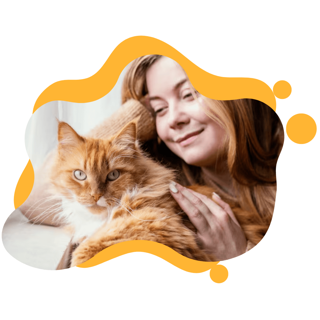 Cat sitting community