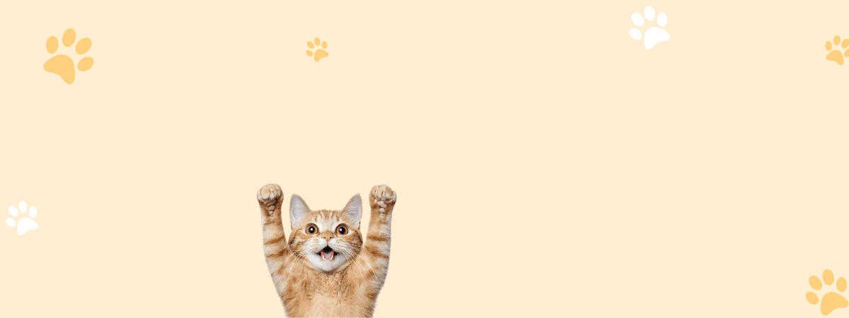 Our Growth - Organic growth powered by cat parent community love